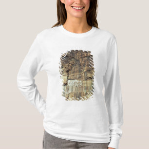 Camiseta Alivio da rocha do Achaemenid do rei Darius mim