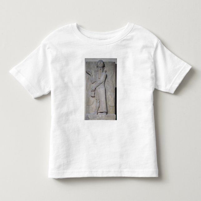 Camiseta Alivio que descreve um génio voado (Frente)