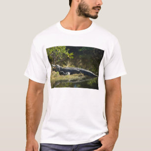 Camiseta Alligator no Sun Florida