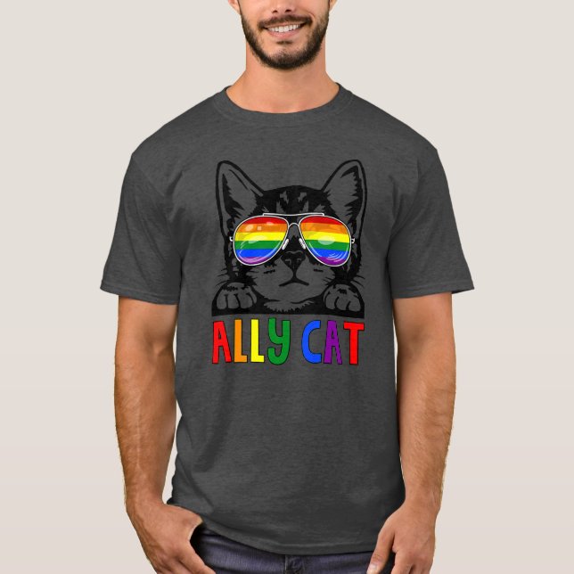 Camiseta Ally Cat LGBT Gay Rainbow Pride Flag Boys Men (Frente)