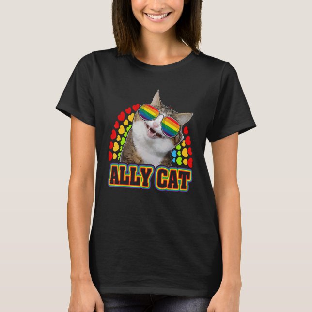 Camiseta Ally Cat Lgbt Gay Rainbow Pride Flag Boys Men Girl (Frente)