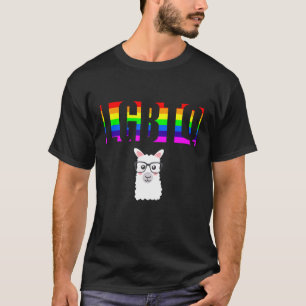 Camiseta Ally Pride LGBTQ Igualdade Rainbow Lésbica Gay Tra