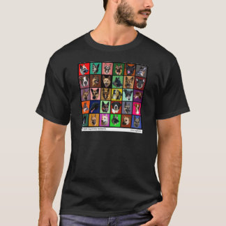Camiseta Almas do arco-íris do DM