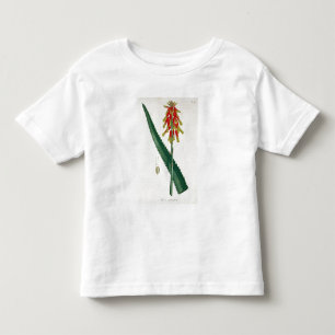Camiseta Aloés de "Phytographie Medicale" por Joseph Roque
