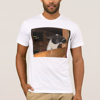 Camiseta Alpaca não um lama