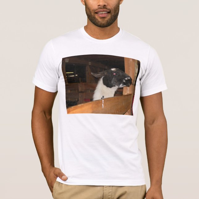 Camiseta Alpaca não um lama (Frente)