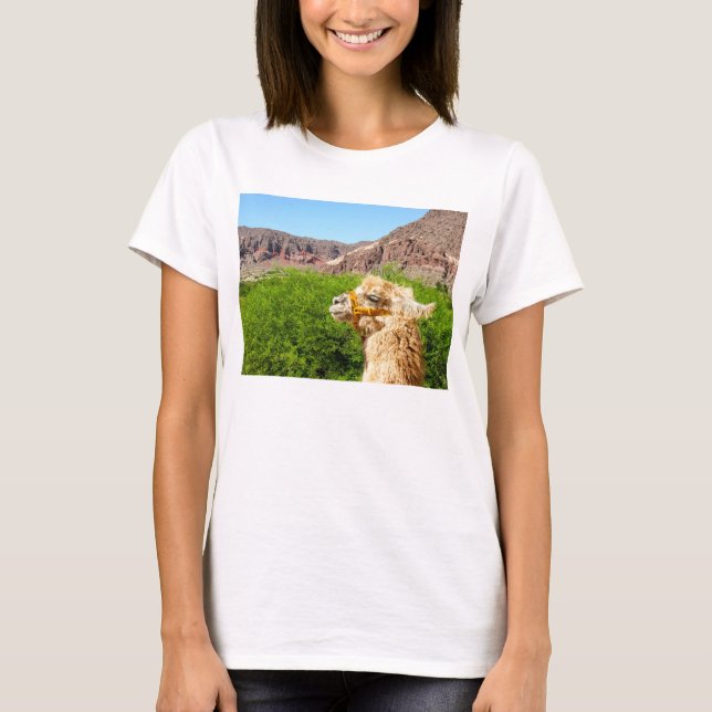 Camiseta Alpaca perto de Salta, Argentina (Frente)