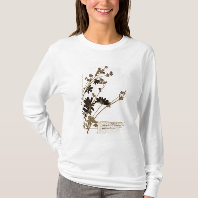 Camiseta Alquemila, de um herbário (Frente)