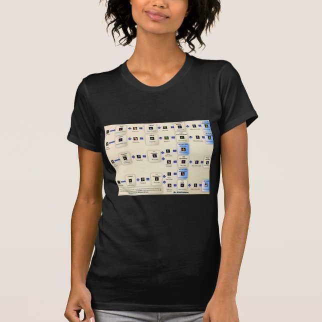 Camiseta Alxeimia Metin2 (Frente)