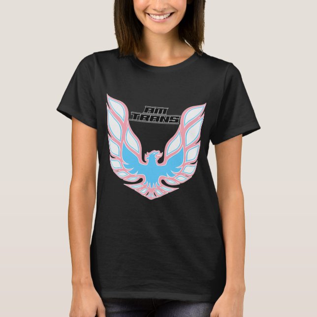 Camiseta Am Trans (Frente)