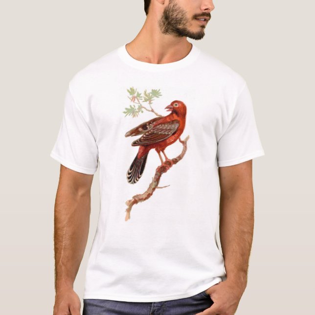 Camiseta amandava no branco (Frente)