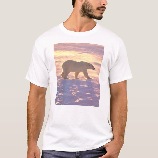 Camiseta Amanhecer 3 do urso polar (Frente)