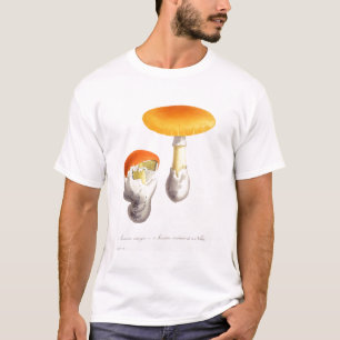 Camiseta Amanita Caesaria de "Phytographie Medicale" por J