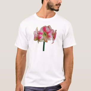 Camiseta Amarílis Rosa e Branco