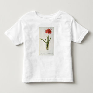 Camiseta Amaryllis Curvifolia, 1809, do ` Les