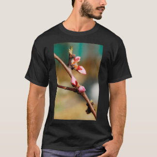 Camiseta Amêndoas de Flor