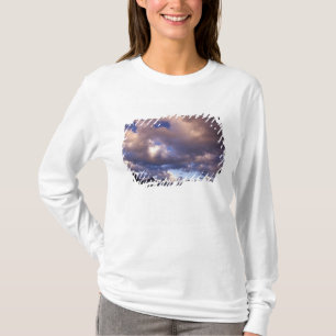 Camiseta América do Norte, Canadá, Alberta, Jasper 5