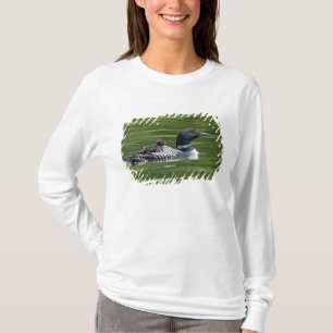 Camiseta América do Norte, Canadá, Colúmbia Britânica, Lac