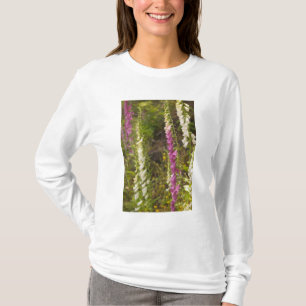 Camiseta América do Norte, Canadá, Ilhas Queen Charlotte, 2