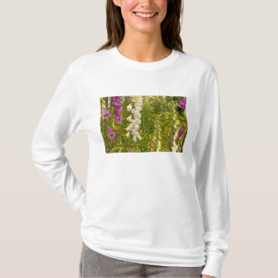 Camiseta América do Norte, Canadá, Ilhas Queen Charlotte, 5