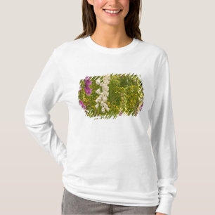 Camiseta América do Norte, Canadá, Ilhas Queen Charlotte, 5