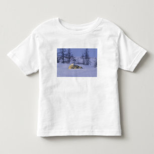 Camiseta América do Norte, Canadá, Manitoba, Churchill