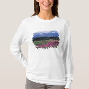 Camiseta América do Norte, Canadá, Yukon. Epilóbio em flor