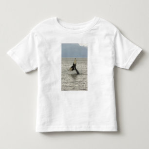 Camiseta América do Norte, EUA, AK, Inside Passage. Jubarte