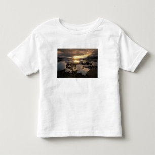 Camiseta América do Norte, EUA, Alasca, Baía de Gelo, Paisa