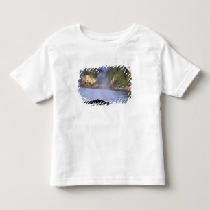 Camiseta América do Norte, EUA, Alasca, Passagem Interior.