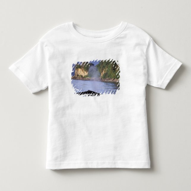 Camiseta América do Norte, EUA, Alasca, Passagem Interior. (Frente)