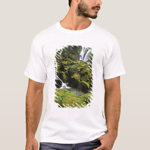 Camiseta América do Norte, EUA, Alasca. Uma cachoeira e