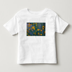 Camiseta América do Norte, EUA, Arizona, Cactus de Órgão