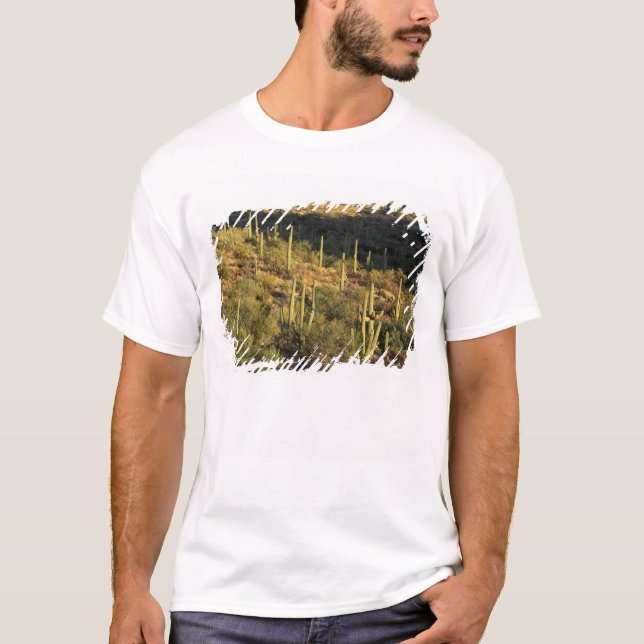 Camiseta América do Norte, EUA, Arizona, Deserto de Sonoran (Frente)