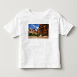 Camiseta América do Norte, EUA, Arizona, Navajo Indian 5