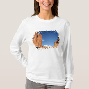 Camiseta América do Norte, EUA, Arizona, Navajo Índio 4