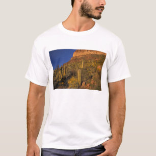 Camiseta América do Norte, EUA, Arizona, Organ Pipe Cactus