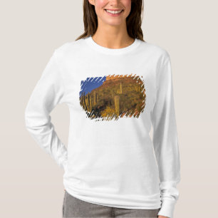 Camiseta América do Norte, EUA, Arizona, Organ Pipe Cactus