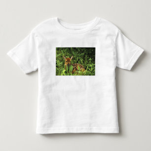 Camiseta América do Norte, EUA, Minnesota. De cauda branca