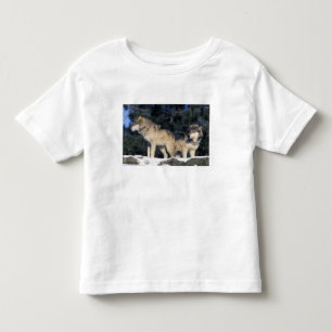 Camiseta América do Norte, EUA, Minnesota. Wolf Canis 2