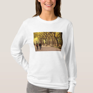 Camiseta América do Norte, EUA, Nova York, Cidade de Nova Y