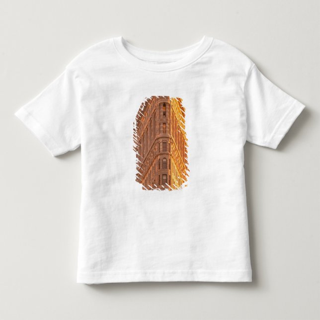 Camiseta América do Norte, EUA, Nova York, Cidade de Nova Y (Frente)
