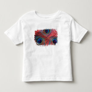 Camiseta América do Norte, EUA, WA, Redmond, Pavão