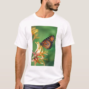 Camiseta América do Norte, EUA, WA, Seattle, Parque Woodlan