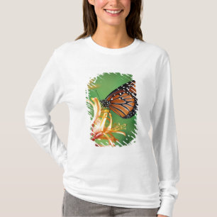 Camiseta América do Norte, EUA, WA, Seattle, Woodland Park