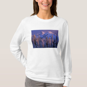 Camiseta América do Norte, EUA, Washington, Mt. Rainier 4