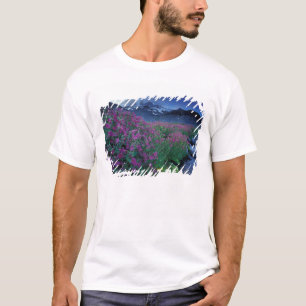 Camiseta América do Norte, EUA, Washington, Mt. Rainier 6