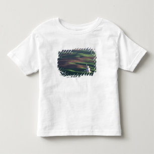 Camiseta América do Norte, EUA, Washington, Palouse. O