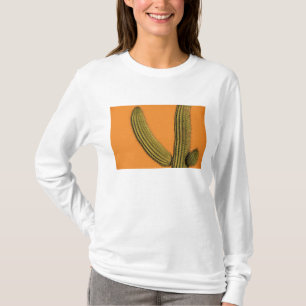 Camiseta América do Norte, México, Baja California, Cabo