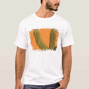 Camiseta América do Norte, México, Baja California, Cabo